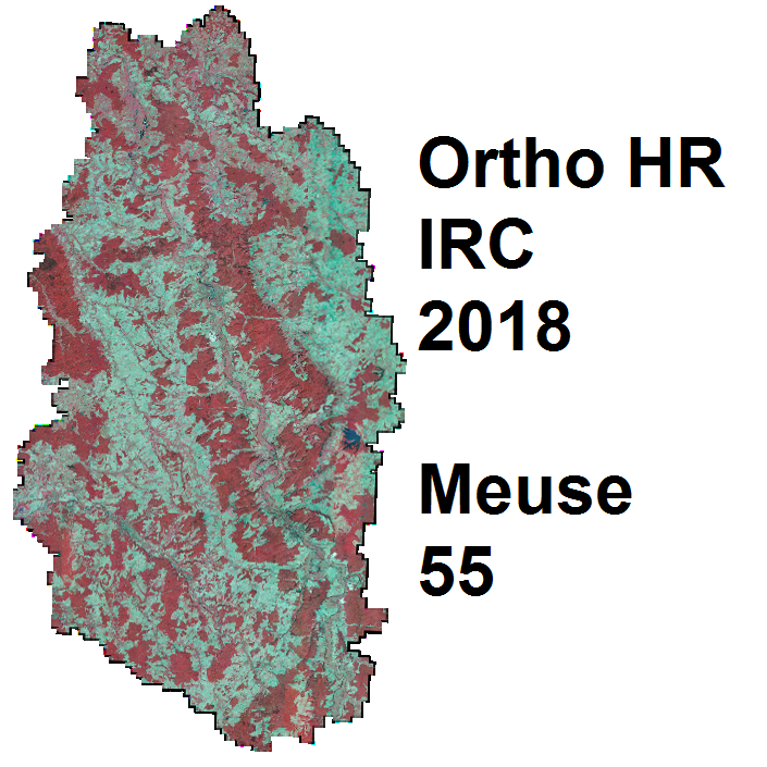 Overview