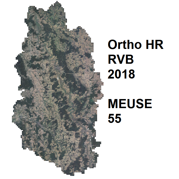 Overview