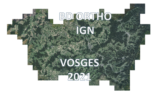 Overview