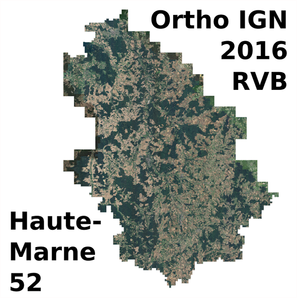 Overview