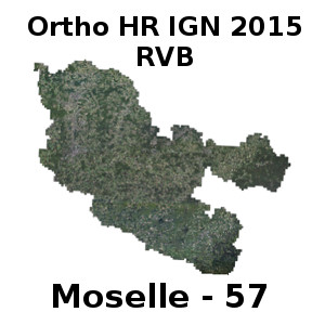Overview