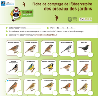 Arbre du vivant - Illustration des feuilles terminales
