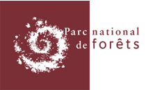 Parc National de Forêts