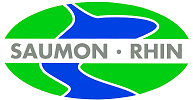 Association Saumon-Rhin