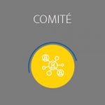 Comité technique et comité de pilotage DataGrandEst