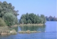Vieux Rhin